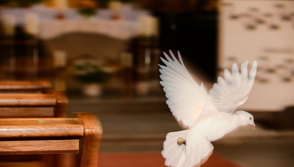 Pfarrer Michael Gnan, Priester an der Kirche von Grainet, musiziert mit fliegenden Tauben.Bild: Eine Taube fliegt durch eine Kirche. Die Taube ist Symbol für Heiliger Geist, Friedenstaube, Friede. Symbol für Pfingsten.