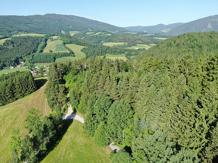 Blick vom Klosterwald auf die Gemeinde Kirchberg am Wechsel
