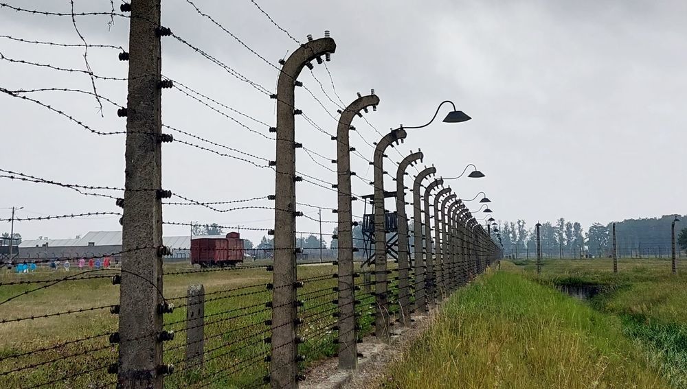 Zaun im ehemaligen KZ Birkenau